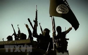 IS và al-Qaeda vẫn không ngừng mở rộng và 'vươn vòi bạch tuộc'