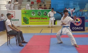 Hấp dẫn với màn tranh tài Karatedo