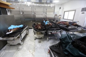 Liên Hợp Quốc phản đối sự can thiệp của nước ngoài ở Libya