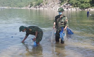 Đồng loạt ra quân “Ngày Chủ nhật xanh” lần thứ II