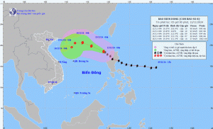 Bão số 8 di chuyển theo hướng Tây Bắc, gió giật cấp 12