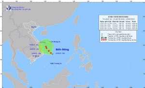 Chủ động ứng phó áp thấp nhiệt đới và không khí lạnh