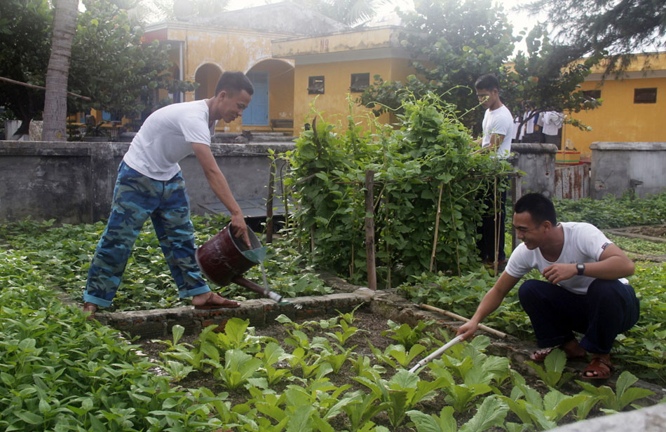 Chuyện tăng gia ở đảo