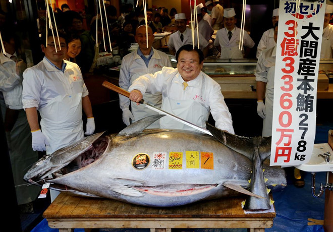 Ca ngu nang gan 400 kg bat duoc o Phu Yen, Khanh Hoa co gi dac biet? hinh anh 7 