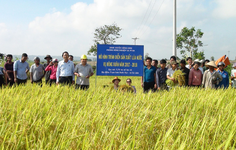 Tái cơ cấu ngành Nông nghiệp theo hướng bền vững