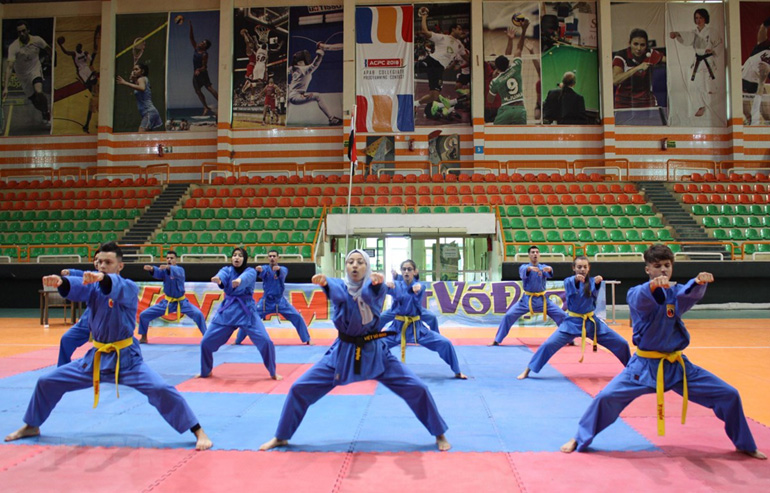 Hơn 80 võ sinh từ các nước tới Ai Cập thi đấu Việt Võ Đạo