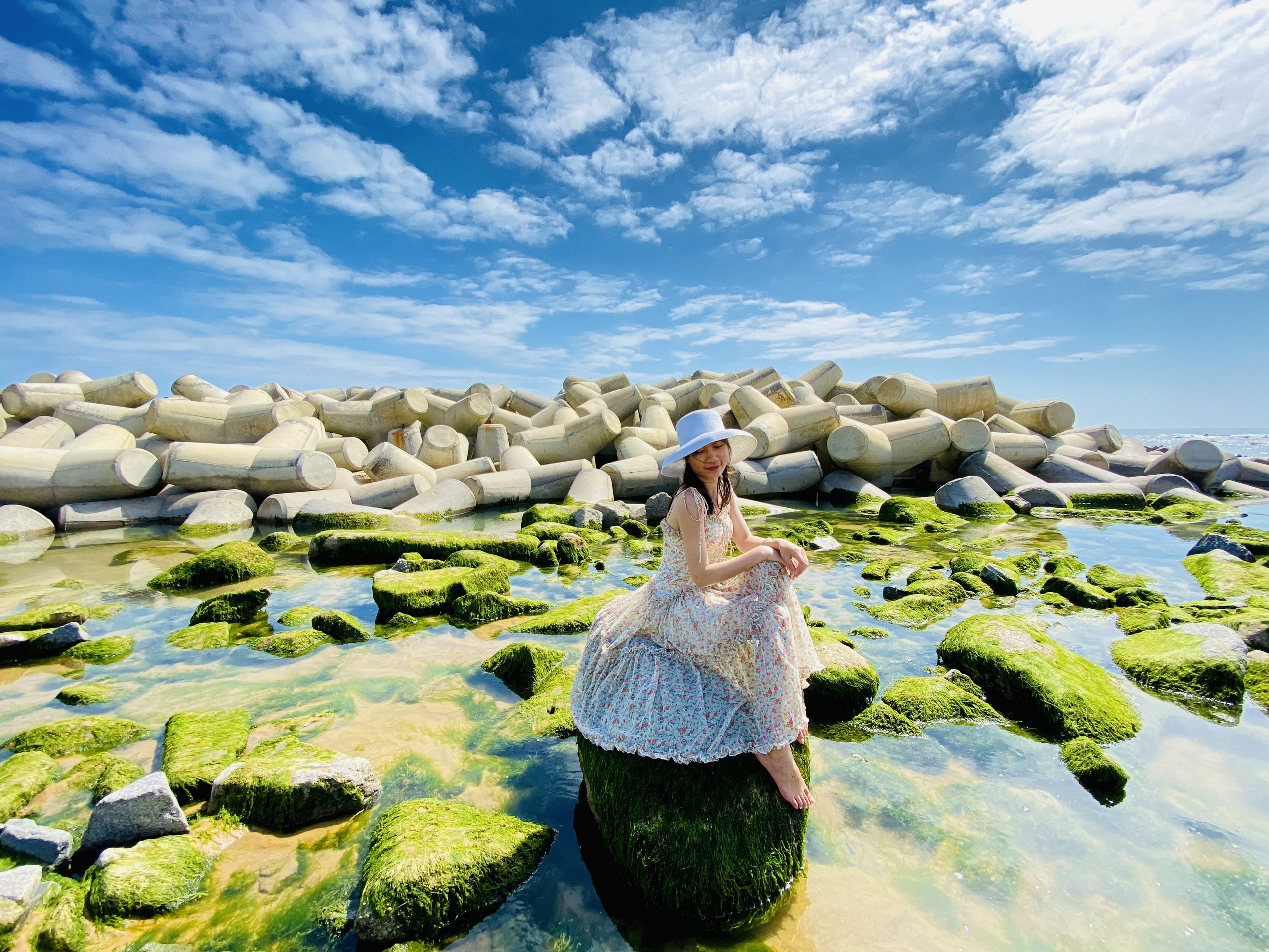 Mùa rêu xanh ở Phú Yên đẹp nhất vào tháng mấy?