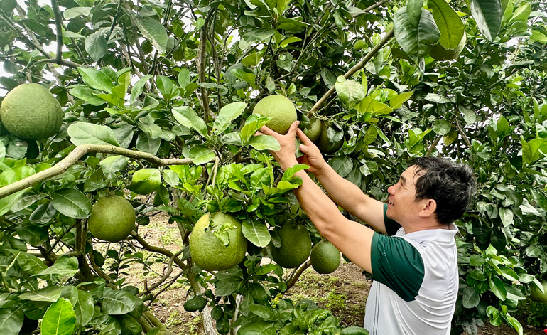 Đánh thức tiềm năng sản phẩm OCOP ở miền núi