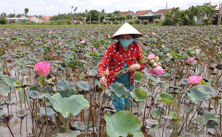 Hòa Định Tây tăng tốc về đích nông thôn mới nâng cao