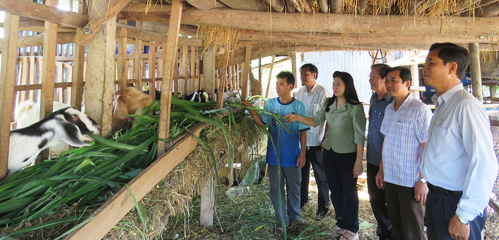 Khơi dậy tính tự chủ trong sản xuất và lao động của Nhân dân