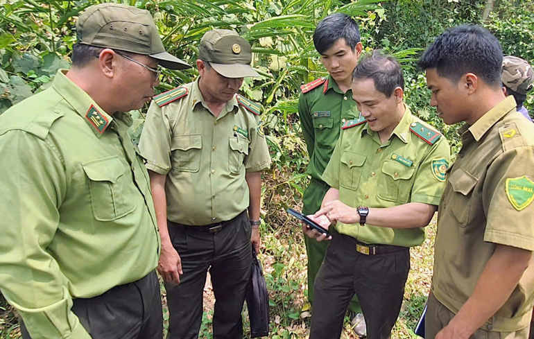 Giữ rừng ngày tết