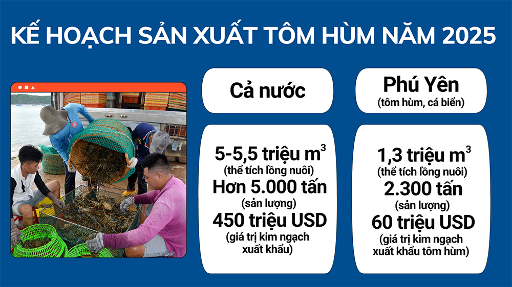 Phát triển nuôi tôm hùm theo hướng bền vững