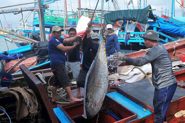 Ngư dân đón lộc biển đầu năm